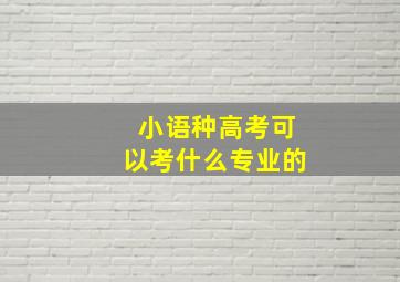 小语种高考可以考什么专业的