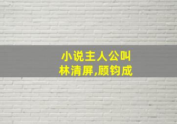 小说主人公叫林清屏,顾钧成