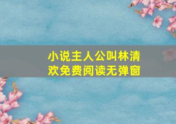 小说主人公叫林清欢免费阅读无弹窗