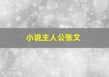 小说主人公张文