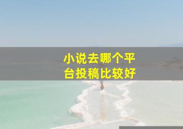 小说去哪个平台投稿比较好