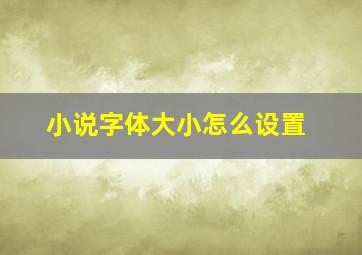 小说字体大小怎么设置