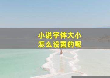 小说字体大小怎么设置的呢