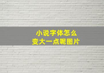 小说字体怎么变大一点呢图片