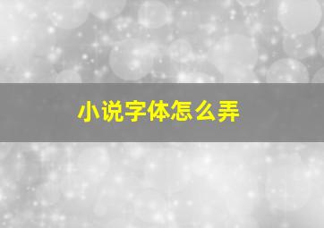 小说字体怎么弄