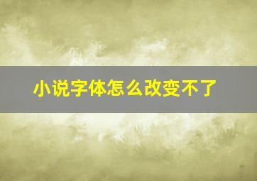 小说字体怎么改变不了