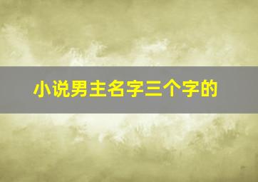 小说男主名字三个字的