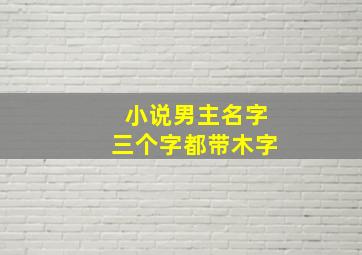 小说男主名字三个字都带木字