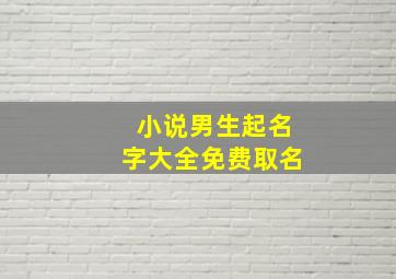 小说男生起名字大全免费取名