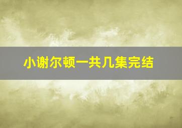 小谢尔顿一共几集完结