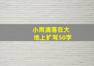 小雨滴落在大地上扩写50字