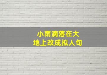 小雨滴落在大地上改成拟人句