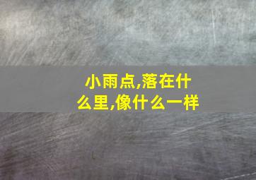 小雨点,落在什么里,像什么一样