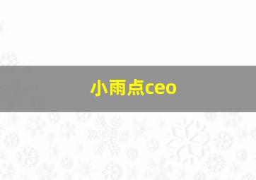 小雨点ceo