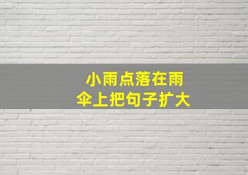 小雨点落在雨伞上把句子扩大