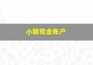 小额现金账户