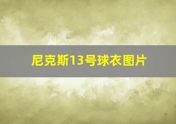 尼克斯13号球衣图片