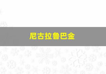 尼古拉鲁巴金