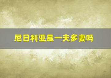 尼日利亚是一夫多妻吗