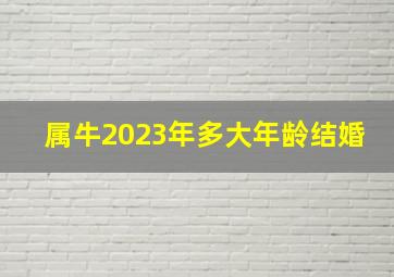 属牛2023年多大年龄结婚