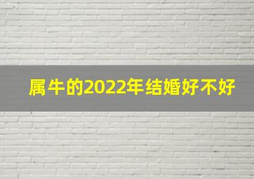 属牛的2022年结婚好不好