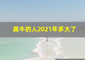 属牛的人2021年多大了