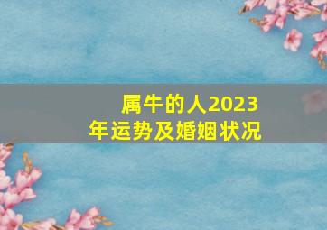 属牛的人2023年运势及婚姻状况