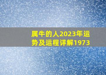 属牛的人2023年运势及运程详解1973