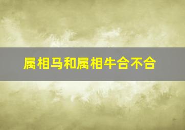 属相马和属相牛合不合