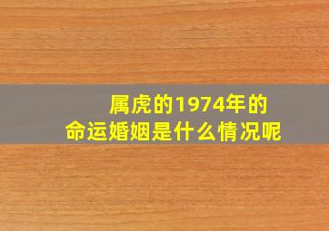 属虎的1974年的命运婚姻是什么情况呢