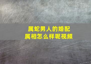 属蛇男人的婚配属相怎么样呢视频