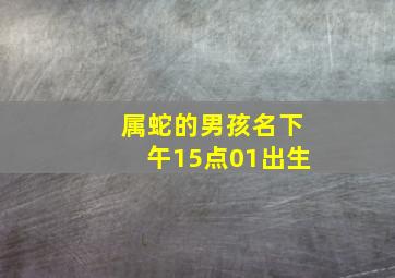 属蛇的男孩名下午15点01出生