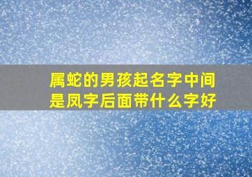 属蛇的男孩起名字中间是凤字后面带什么字好