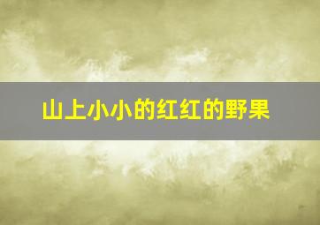 山上小小的红红的野果