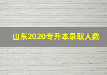 山东2020专升本录取人数