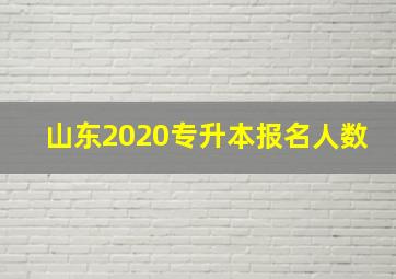 山东2020专升本报名人数