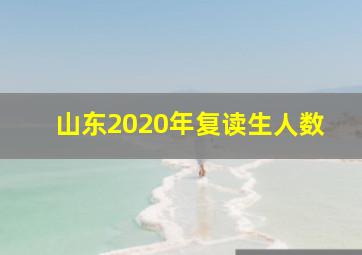 山东2020年复读生人数