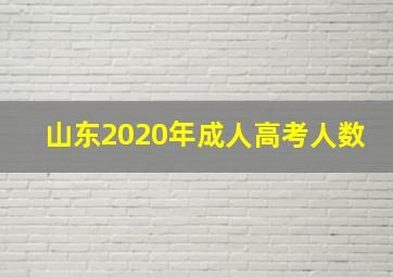 山东2020年成人高考人数