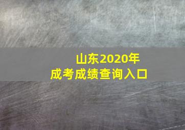 山东2020年成考成绩查询入口