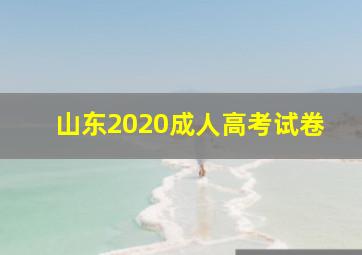 山东2020成人高考试卷