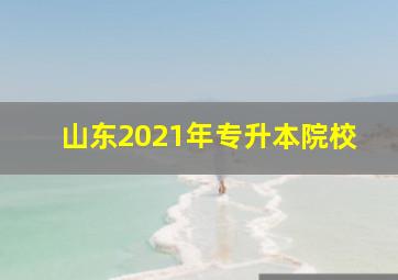 山东2021年专升本院校