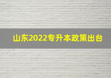 山东2022专升本政策出台