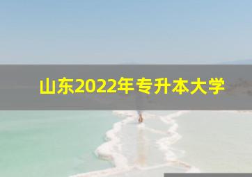 山东2022年专升本大学