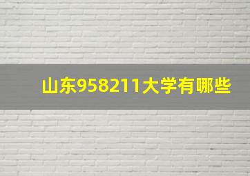 山东958211大学有哪些