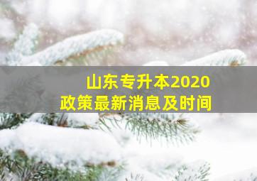 山东专升本2020政策最新消息及时间