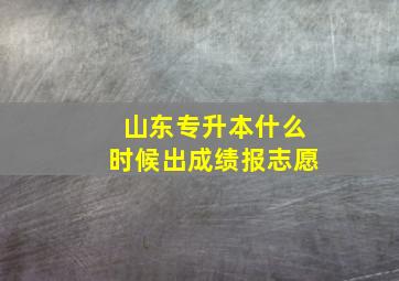 山东专升本什么时候出成绩报志愿