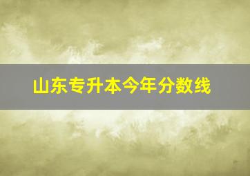 山东专升本今年分数线