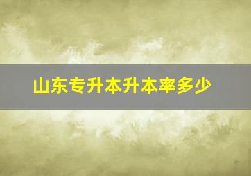 山东专升本升本率多少