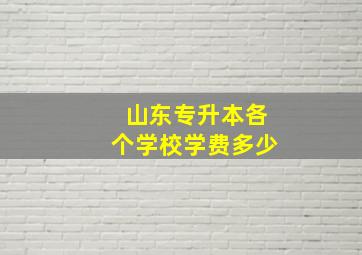 山东专升本各个学校学费多少