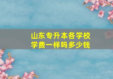 山东专升本各学校学费一样吗多少钱